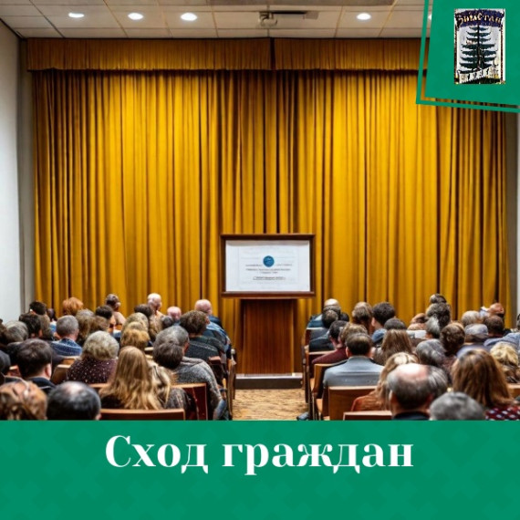Сход граждан. Сход граждан.